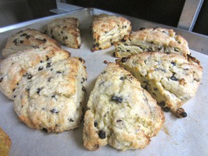 currant scones