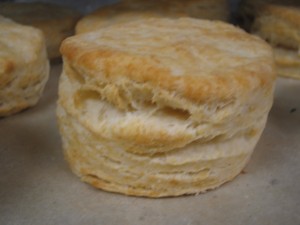 biscuit